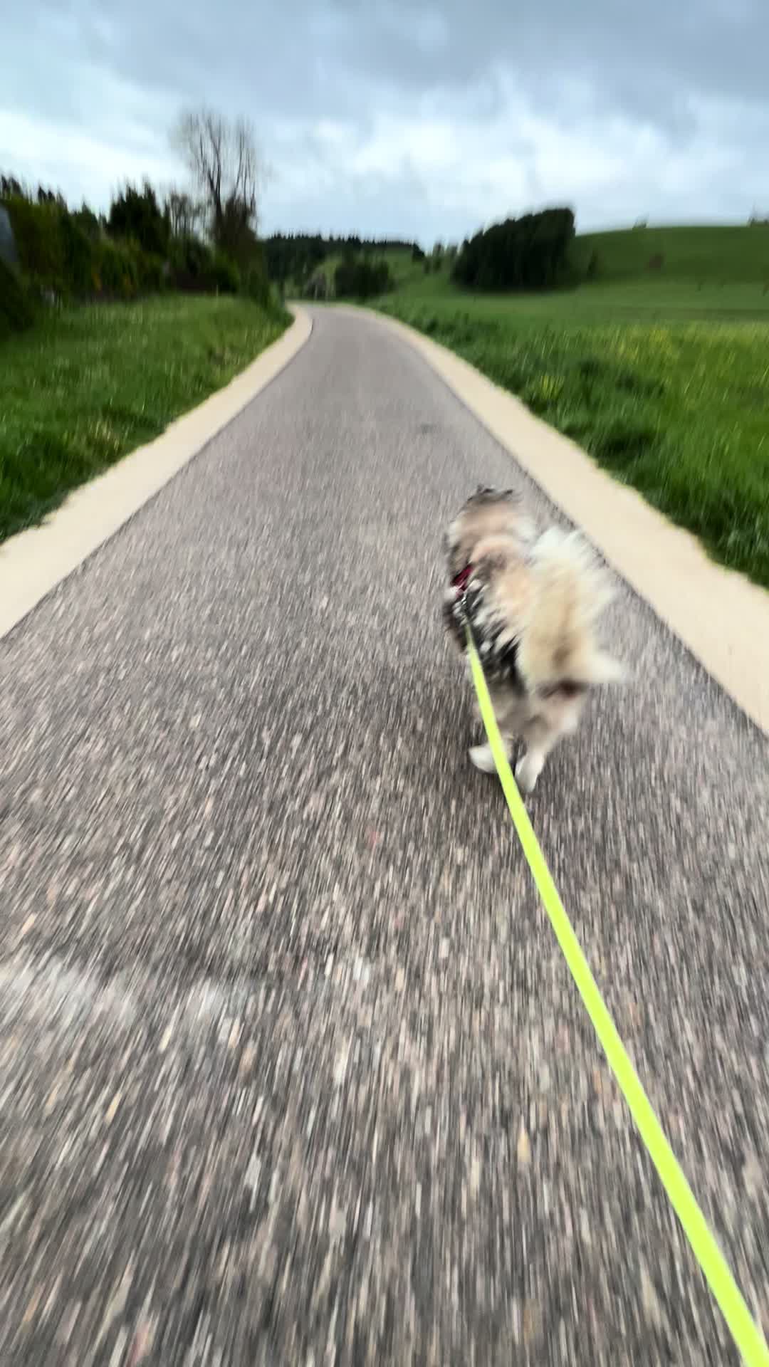 @Das kleine Krümelmonster 👻