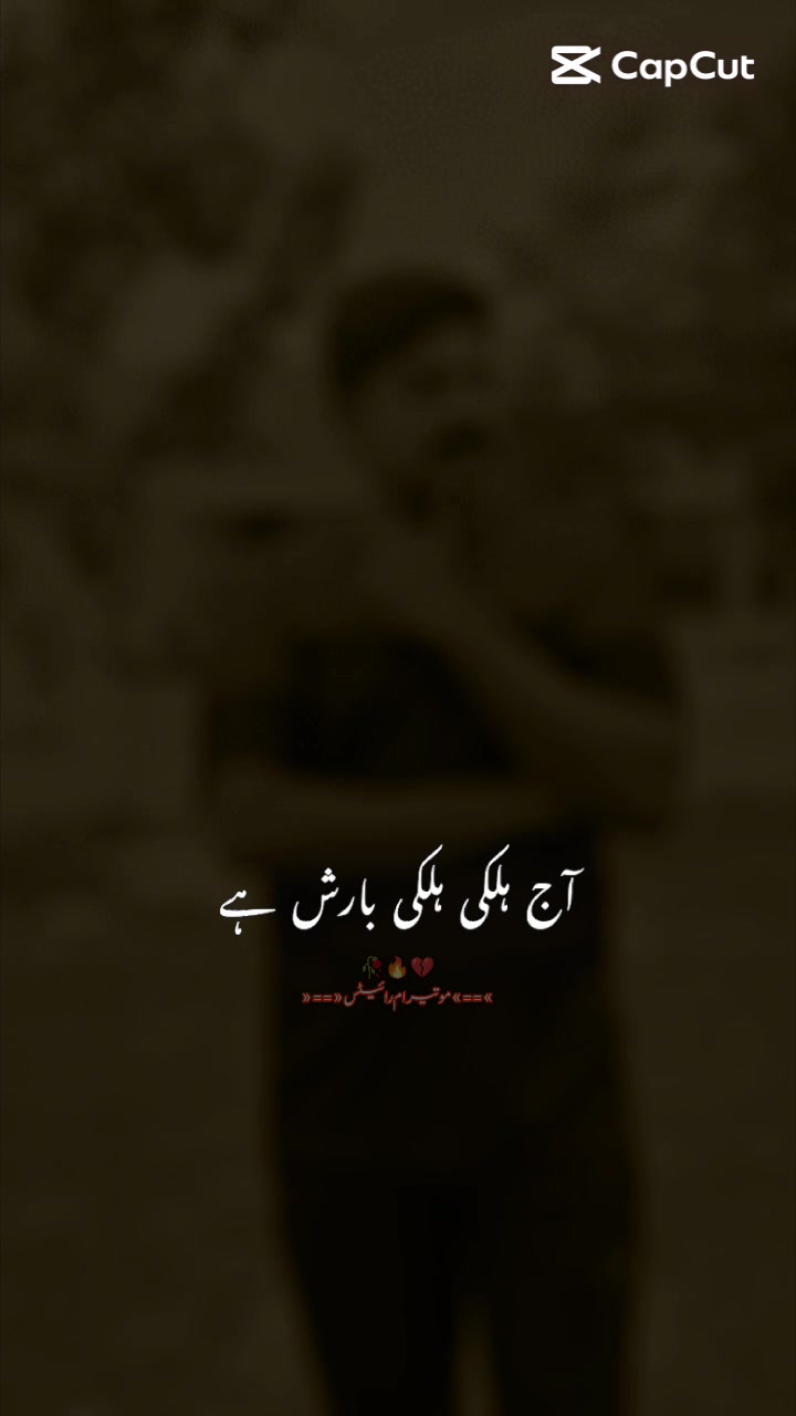 @qasirnaar786