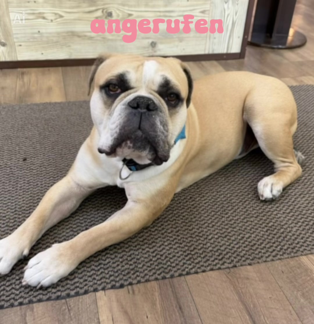 @Mogli🐾