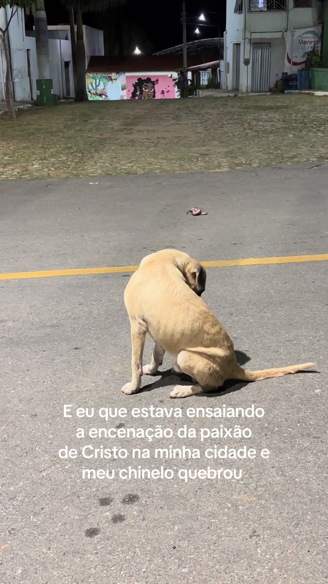 @Lívia Sales