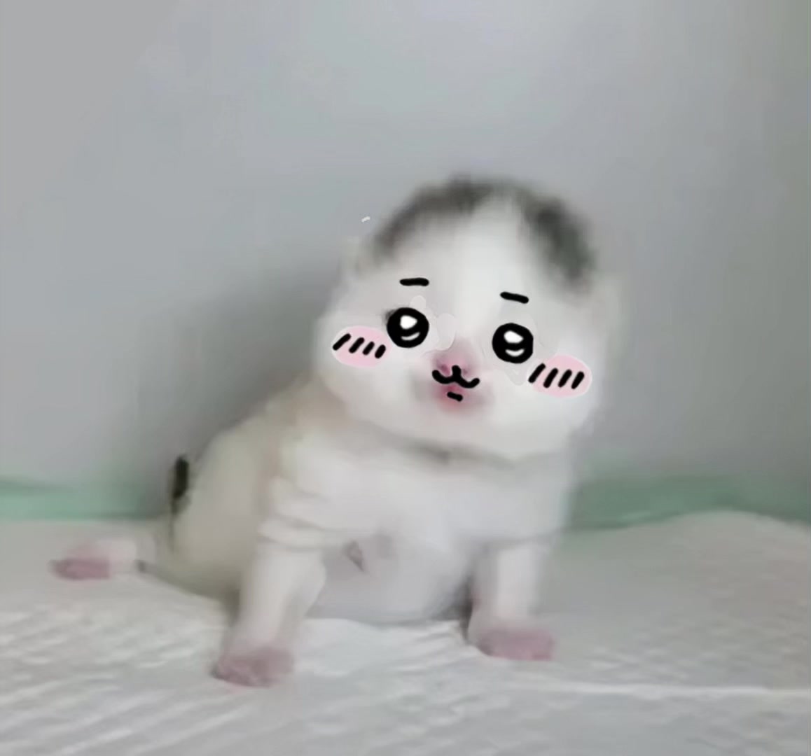 @🍥