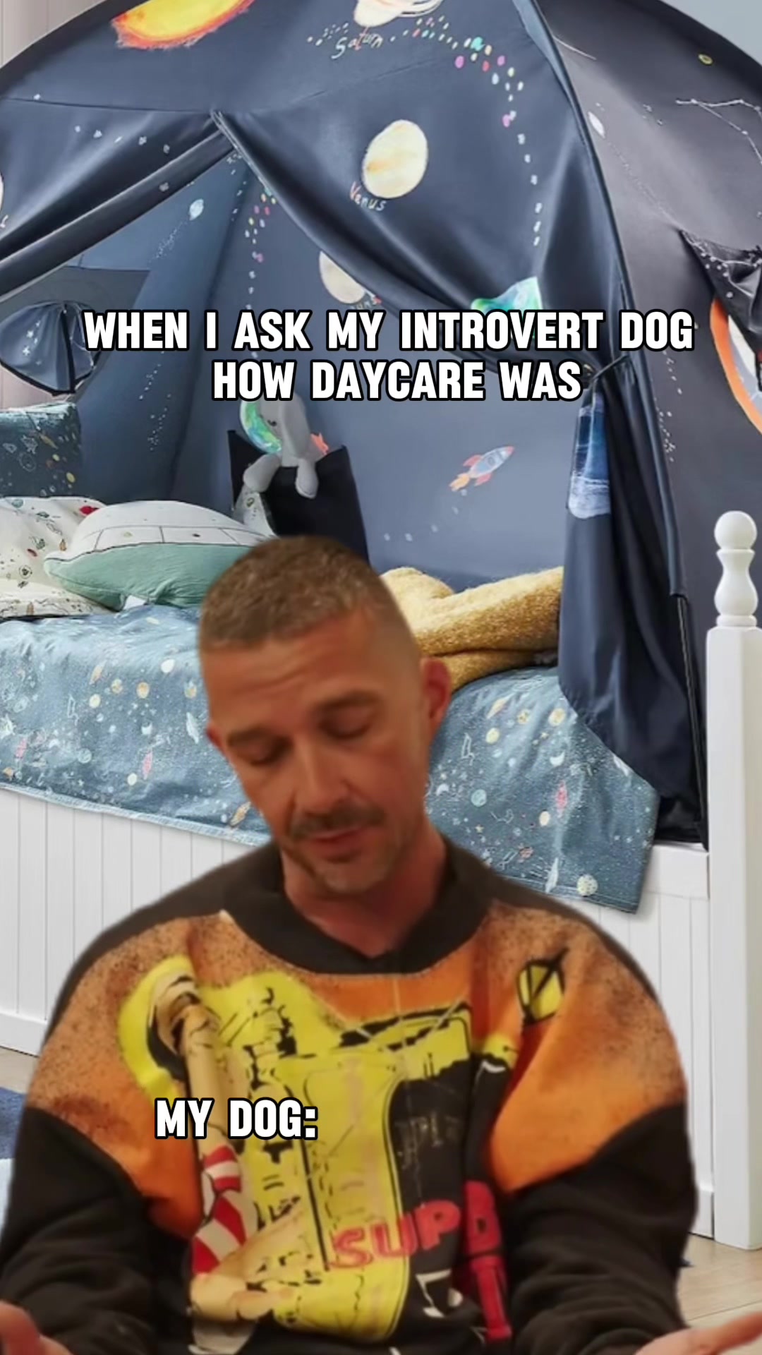 @If Your Pet Talked