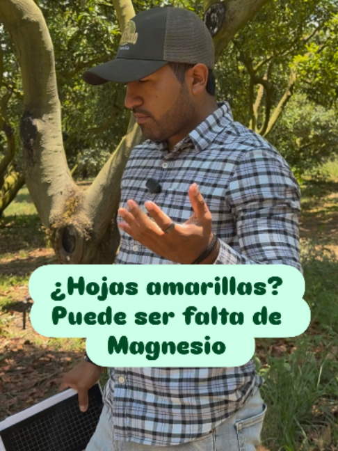 @Gera Cervantes