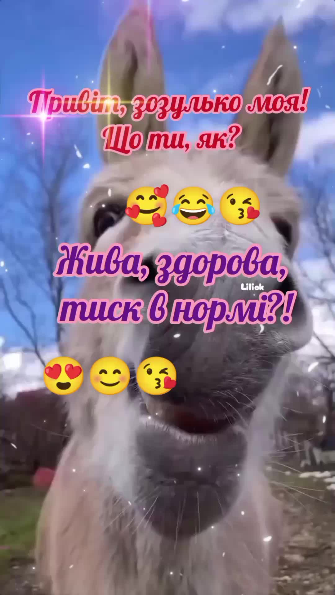 @✨Liliok✨