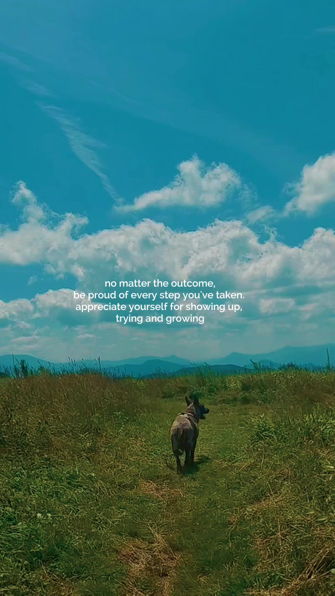 @Nature junkie