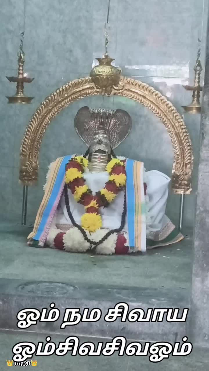 @sree_raj