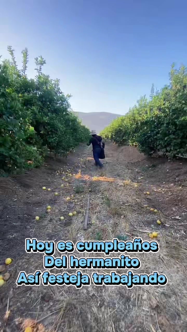 @peluche9260