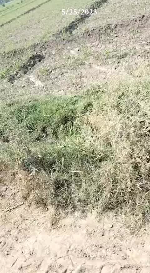 @aliraza777