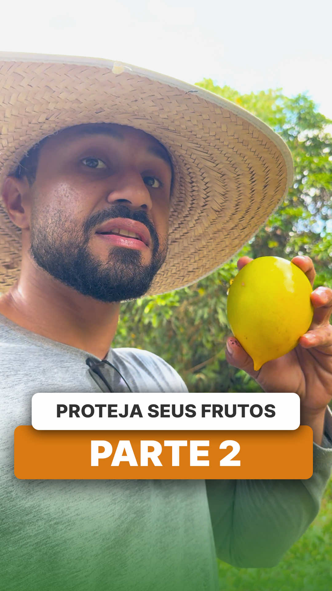 @ViveiroProMudas