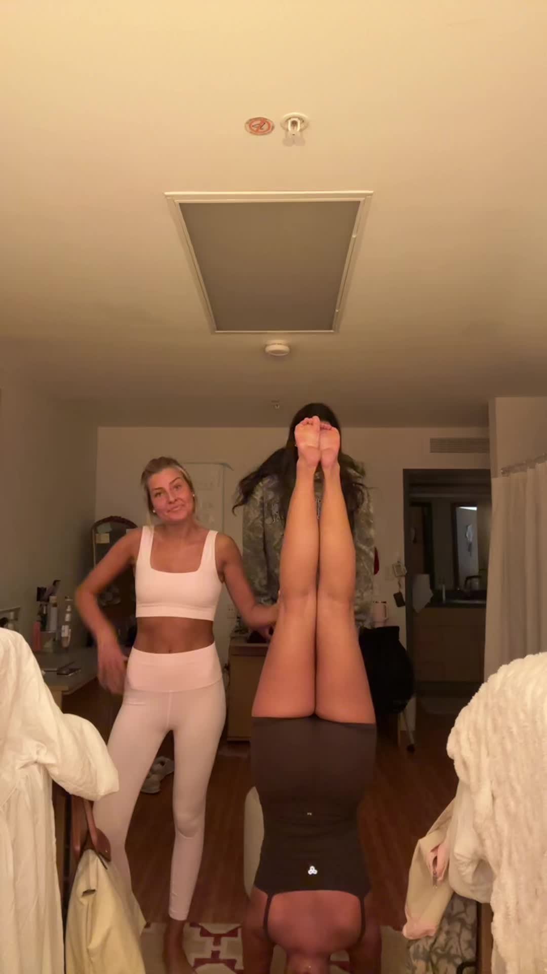 @🐮