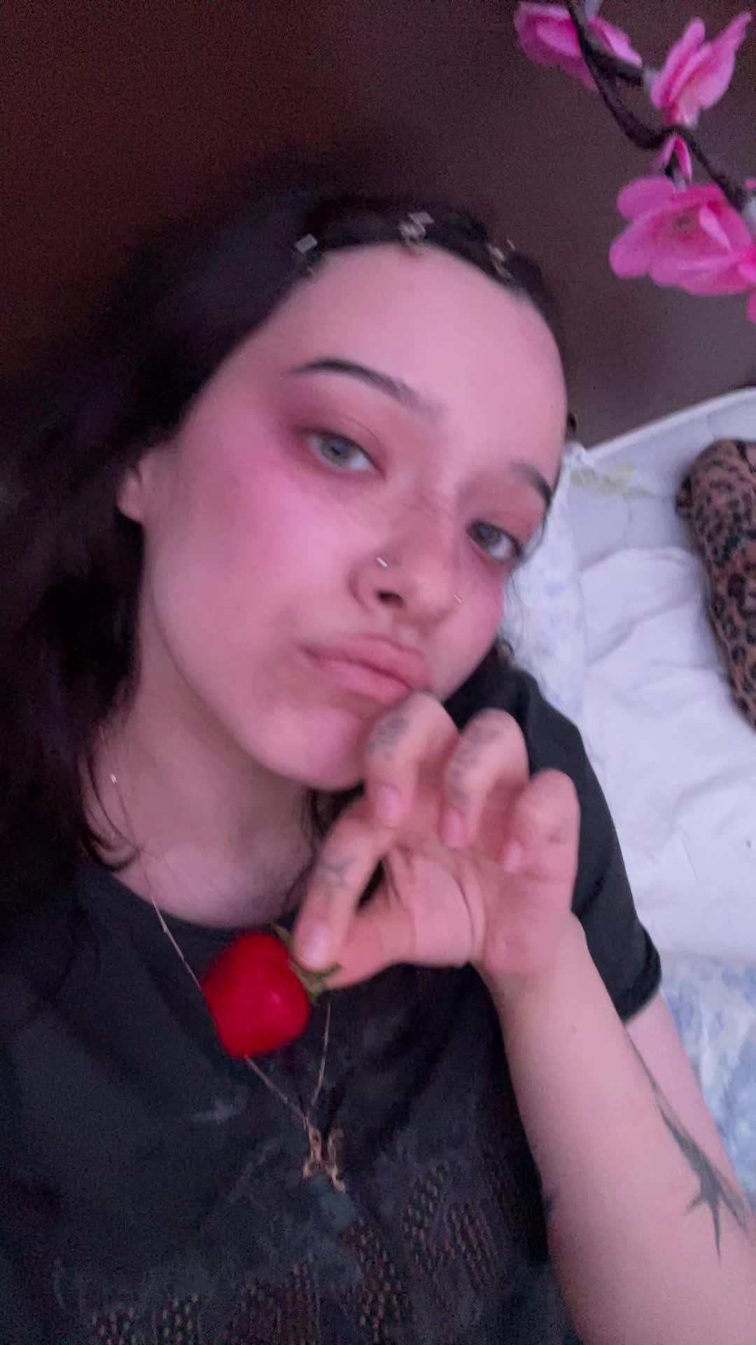 @elizavefko