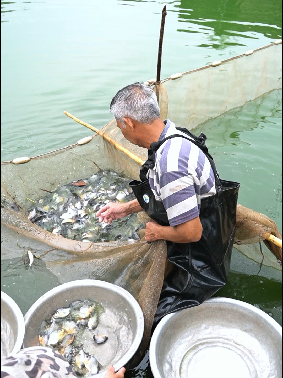 @Trại Cá Giống Quang Lâm