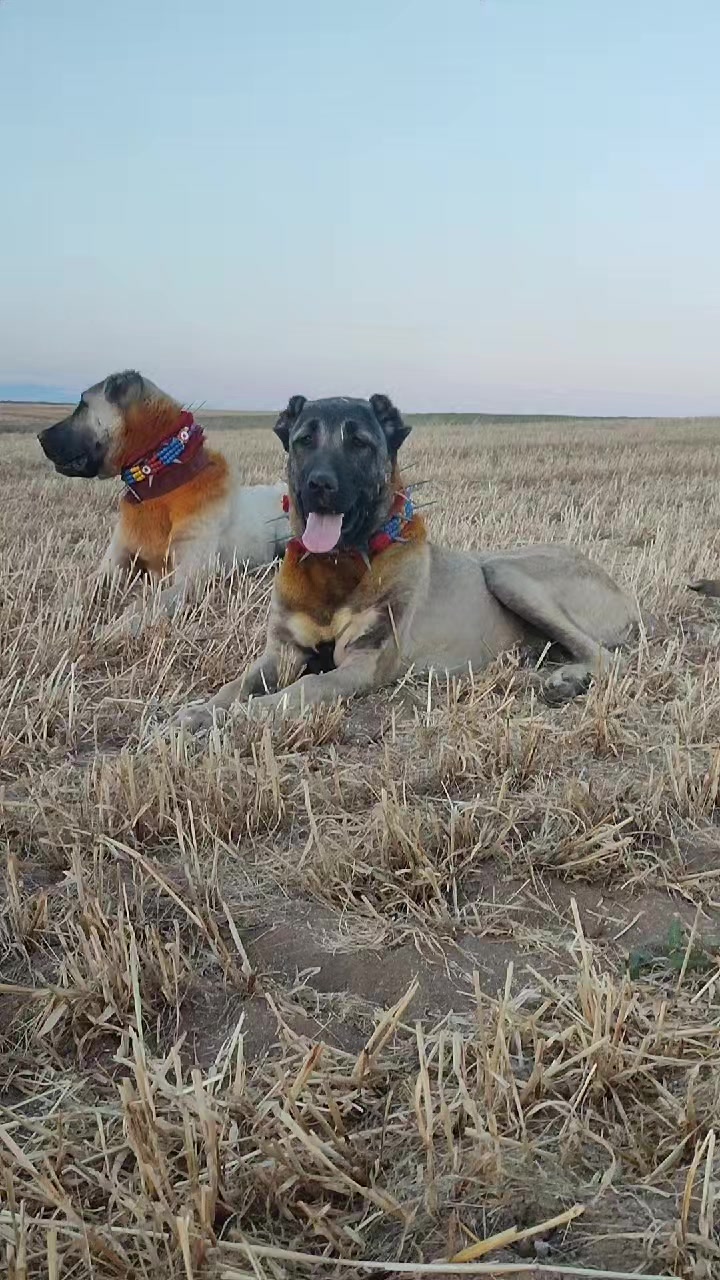 @🇹🇷 Murat Çıtak 🇹🇷