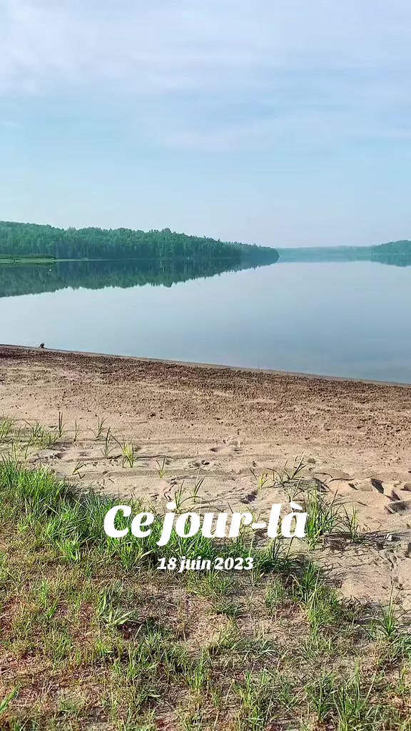 @LicorneDneige 🦄
