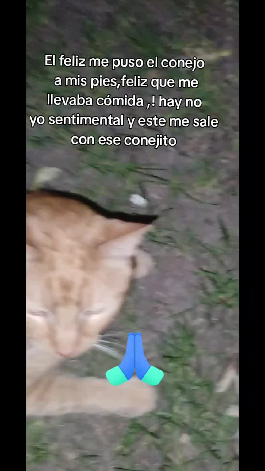 @martita