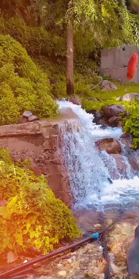 @✮⃝❤ᎠɪᴍᴘʟEQᥙᥱ֟፝ᥱn