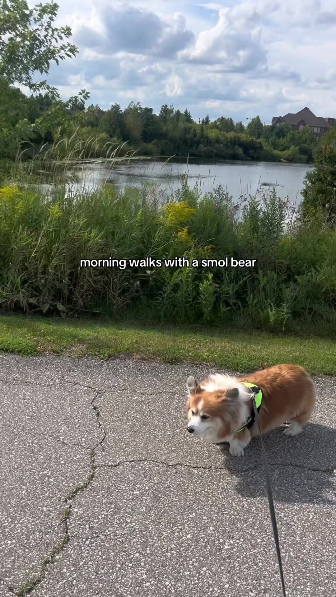 @hudsonthefluffycorgi