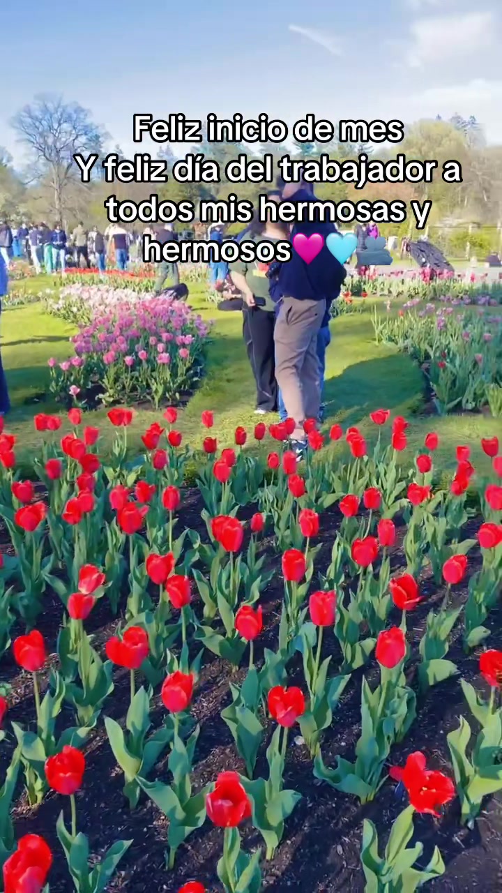 @Rosireina1