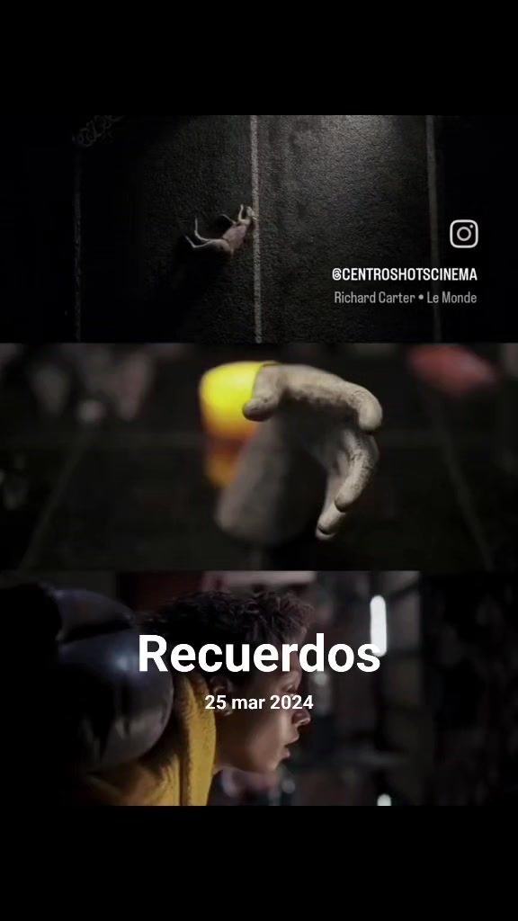 @Chamelfo
