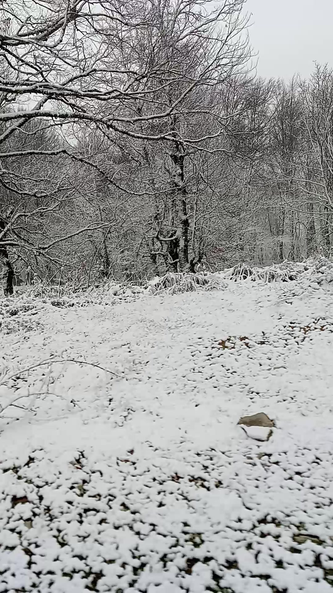 @Burak Damla Şahin
