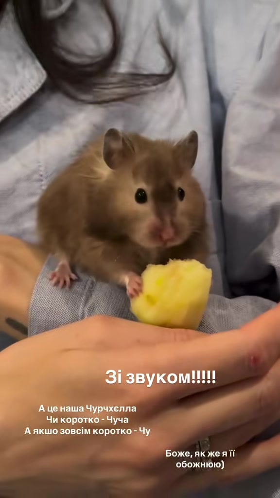 @Софія🤪