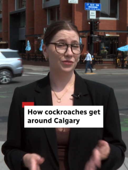 @CBC Calgary