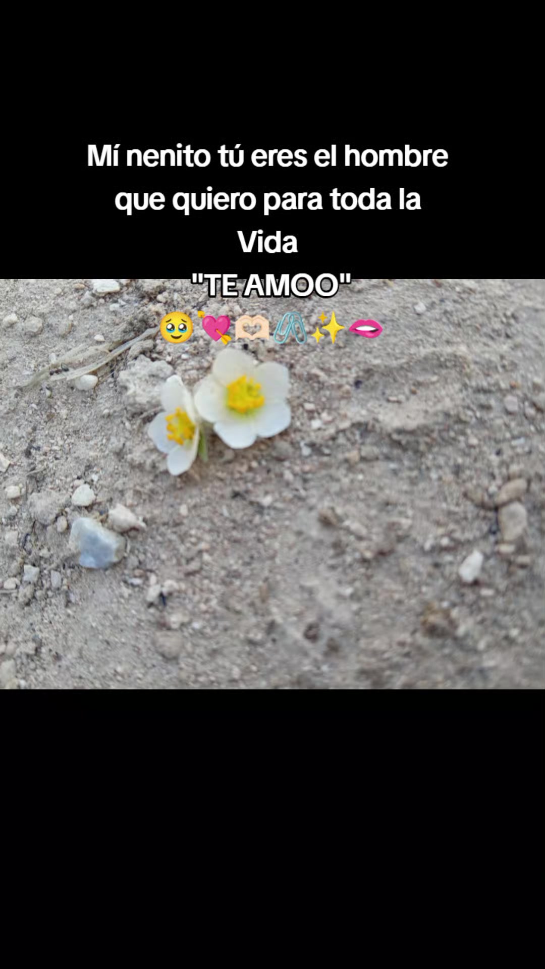 @Paola L&oacute;pez💗💓❤️