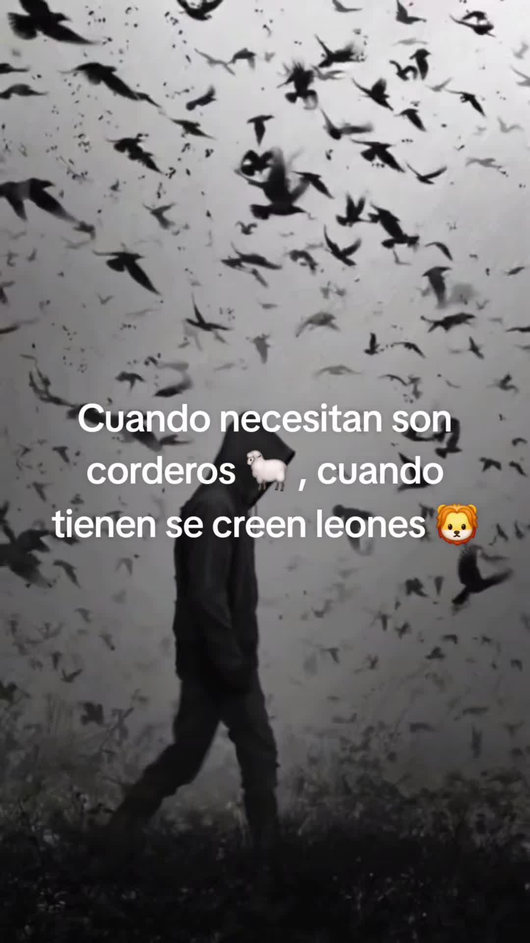 @Fama🔥
