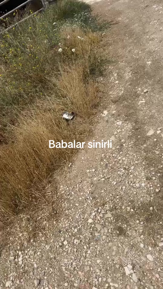 @Cengiz 05