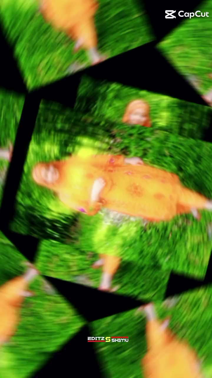 @๐๐๐๐๐๐๐๐๐๐โค๏ธโค๏ธโค๏ธ