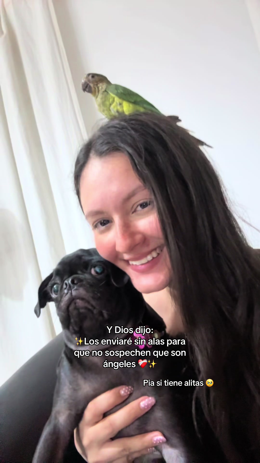 @BRUNNA PUG | PET LIFESTYLE 🐾