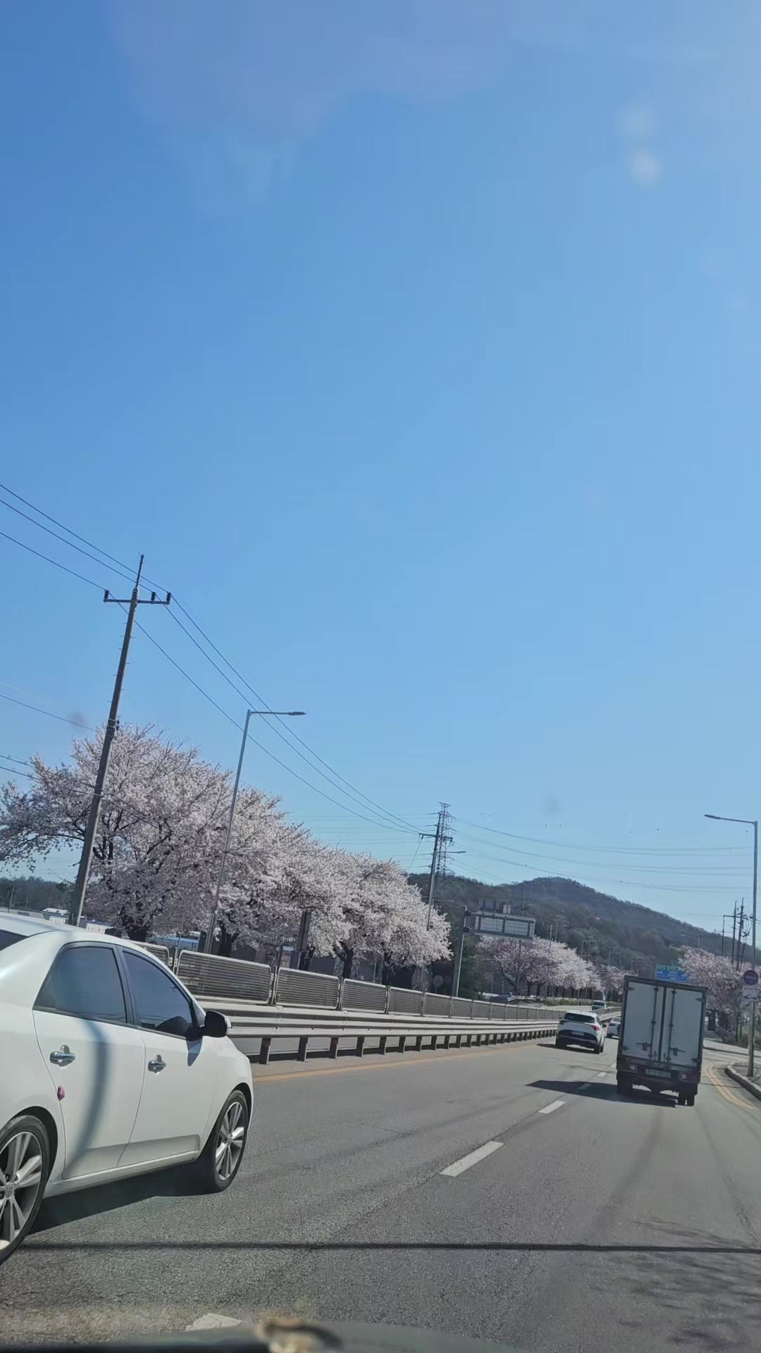 @상큼선이