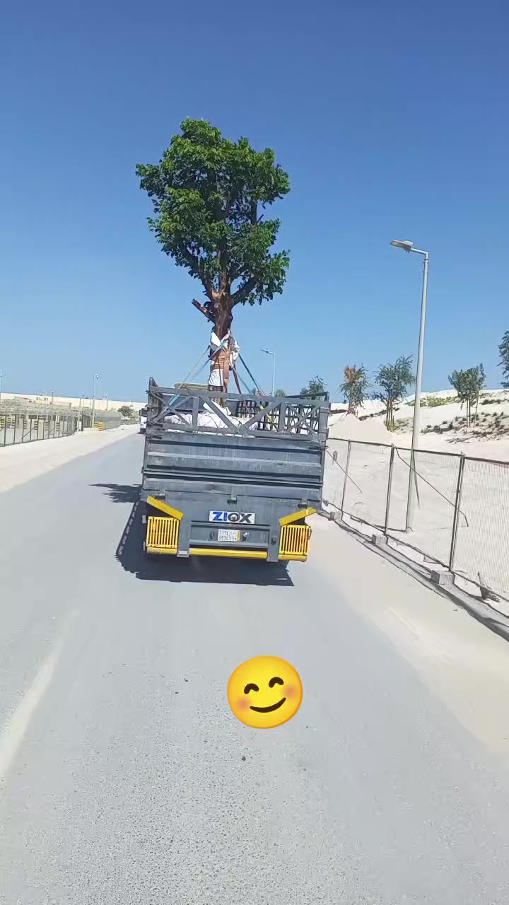 @𝐓𝐀𝐊𝐊𝐀𝐑🇸🇦