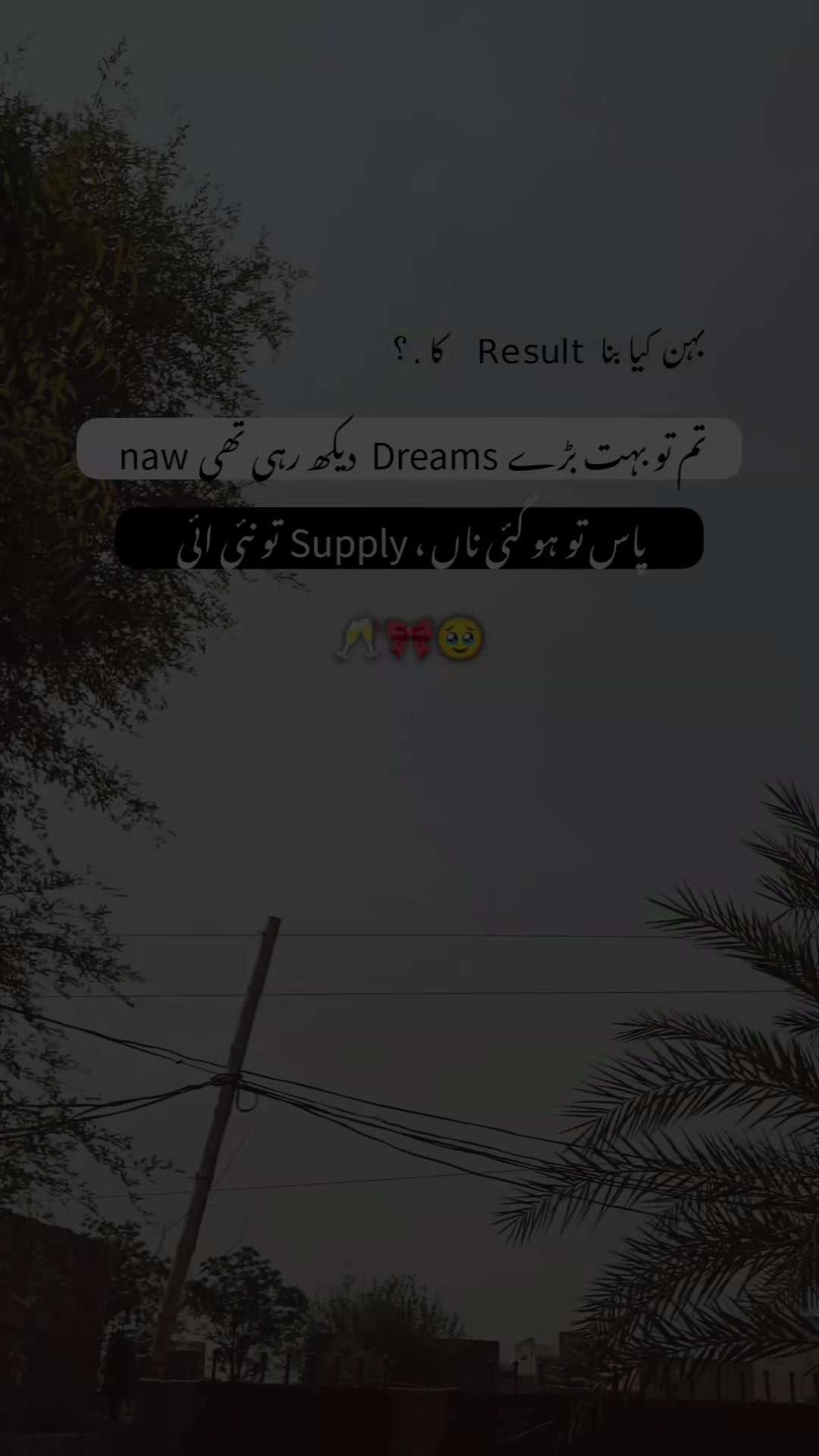 @𝑰𝒕𝒔. 𝒁ᵘ𝐁ⁱⁱ