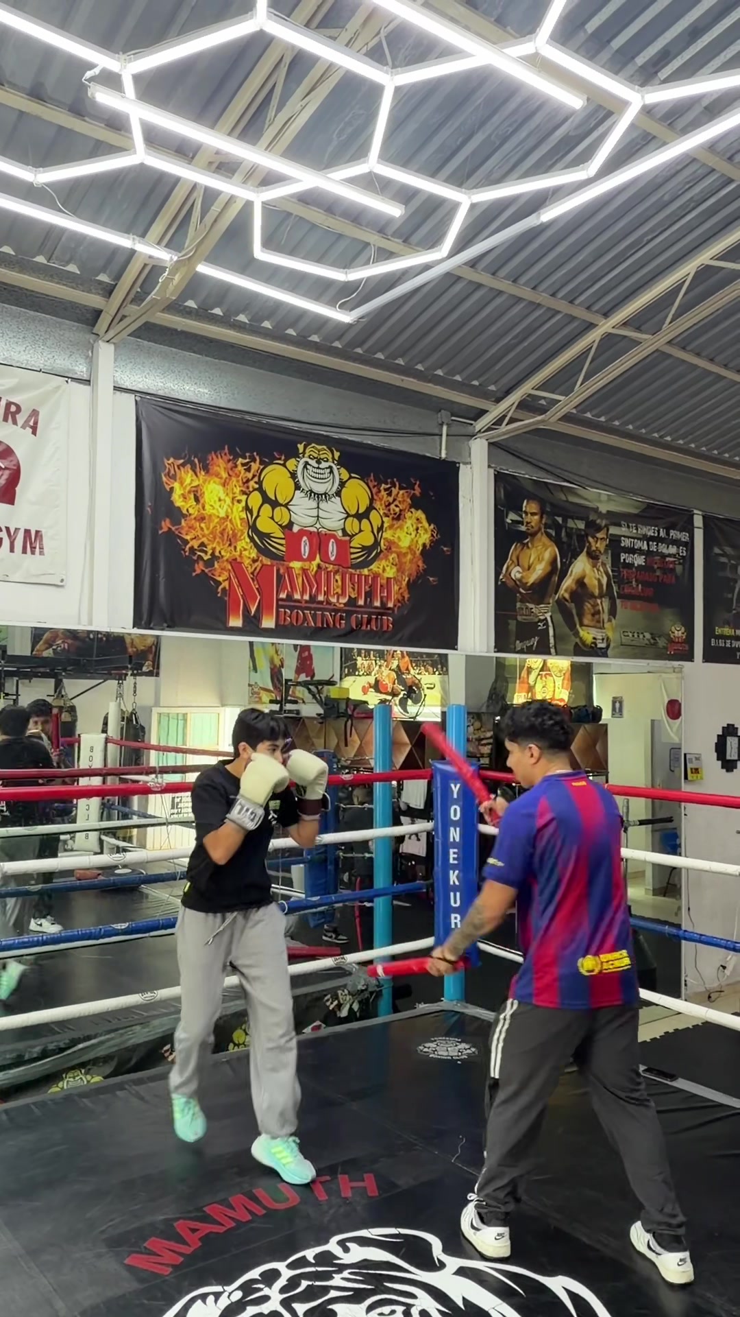 @Yonekura Boxing Club