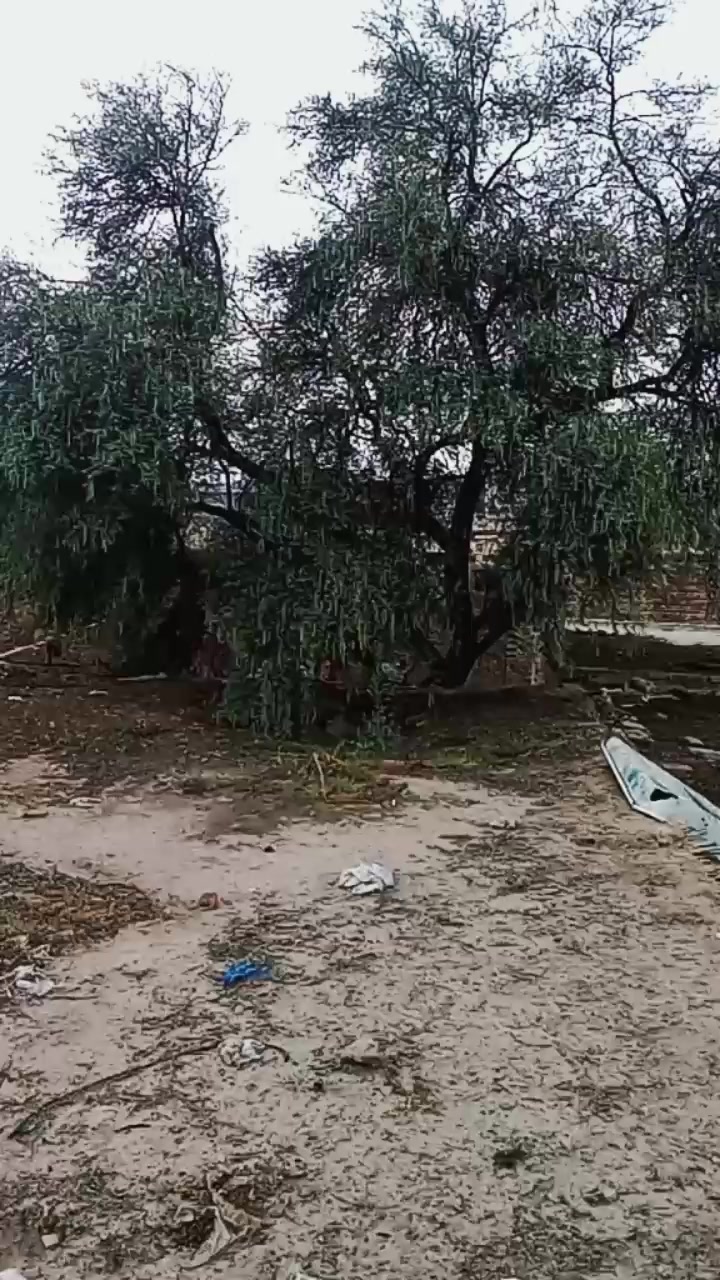 @Iqbal Iqbal m