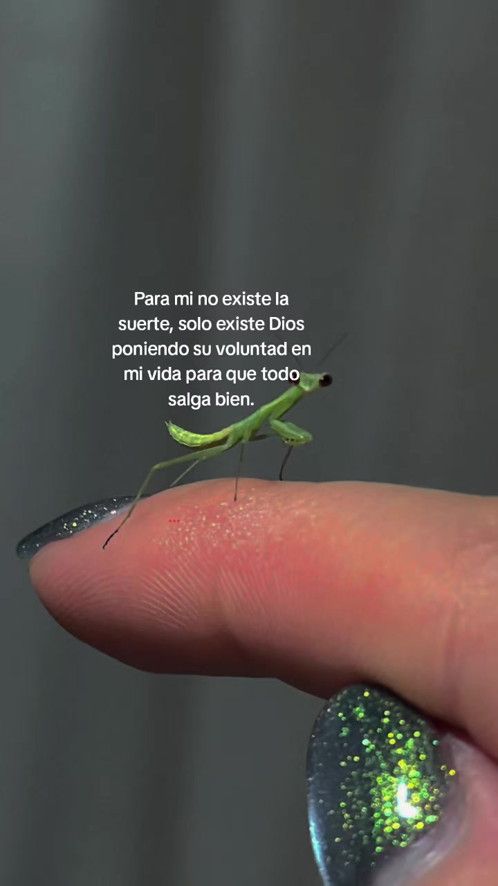 @MIRIAM🦋🦋