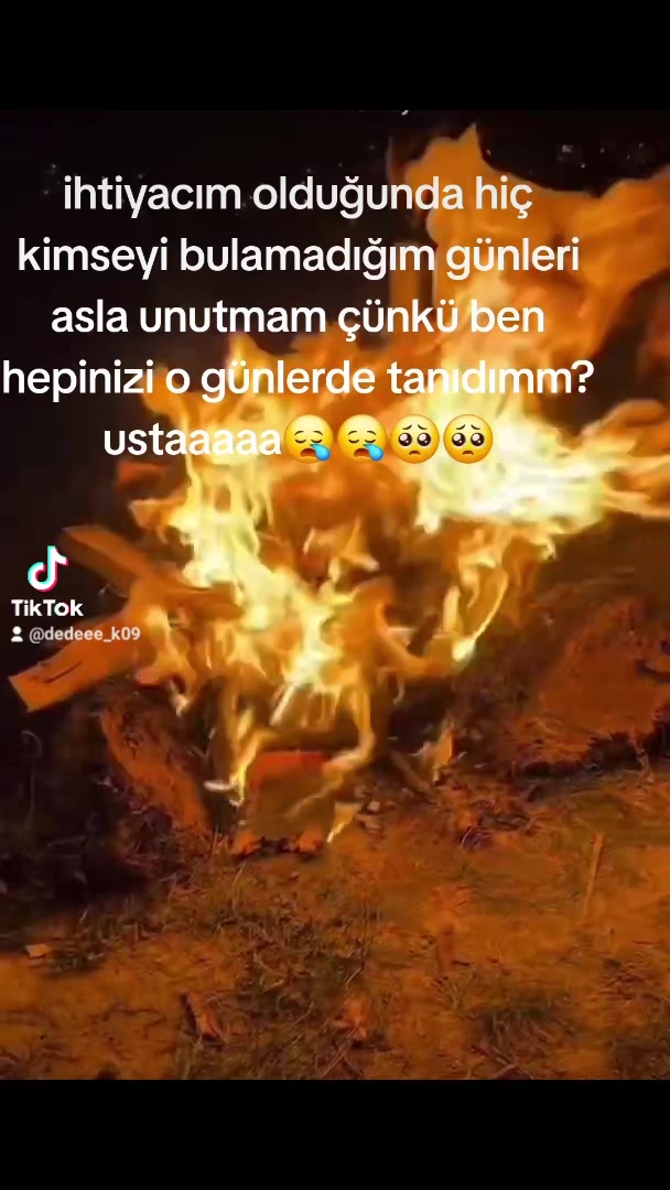 @⚜️wolf usta ⚜️