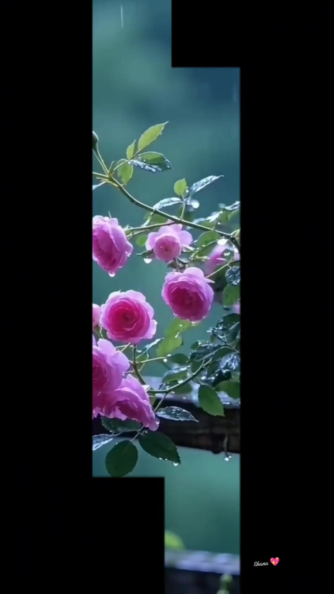@ჰhმῆმ