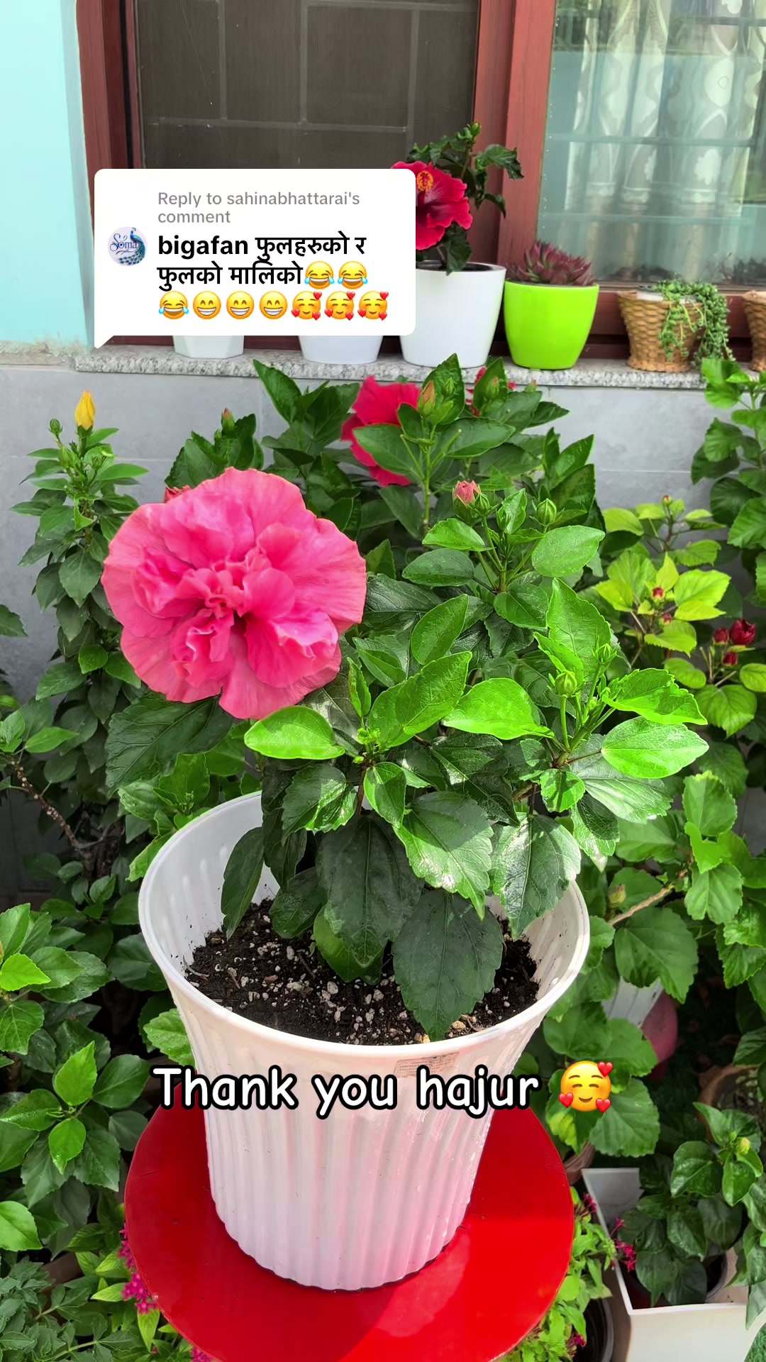 @poonam_shah 🧿🍀