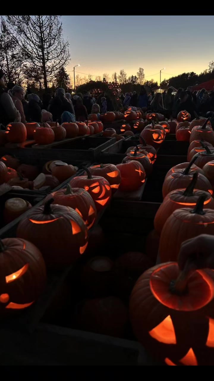 @FrightToFestive