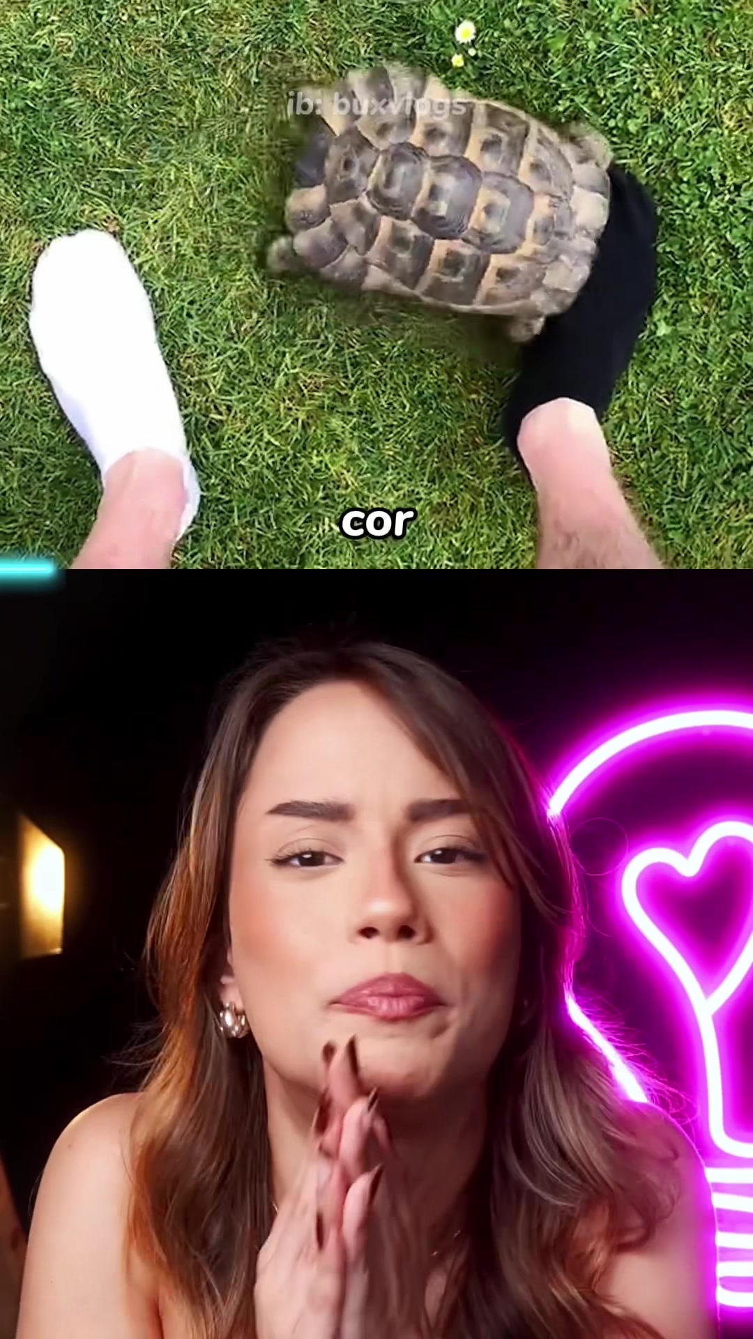 @Giuliana Mafra