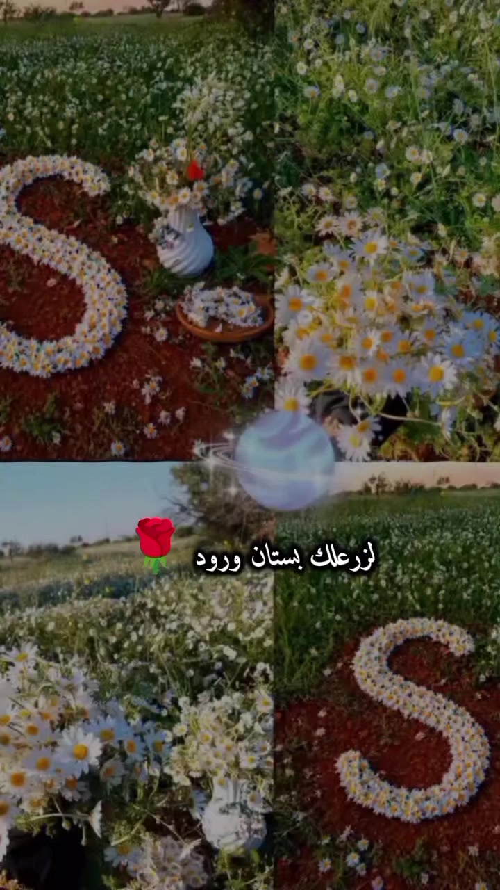 @🌹زهره اللوتس 🌹