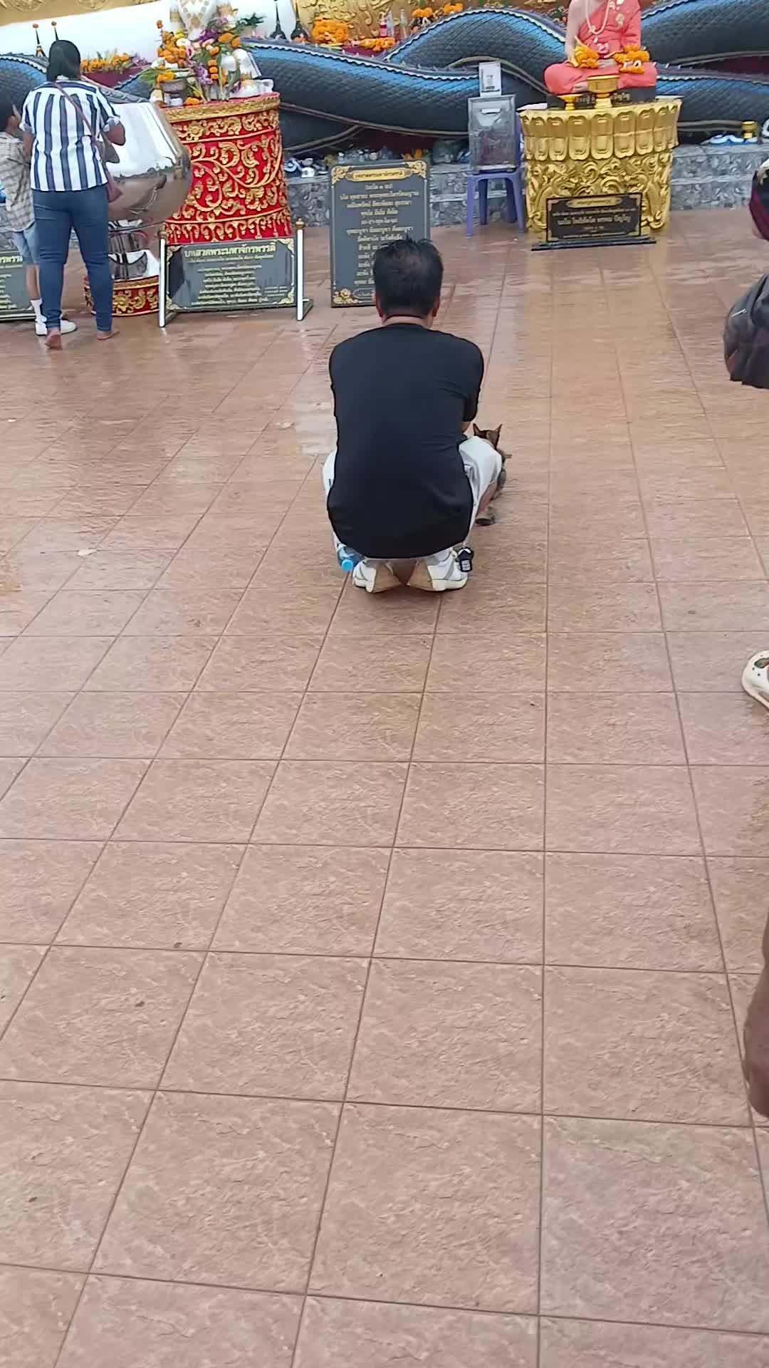@น้อย ฉายอรุณ