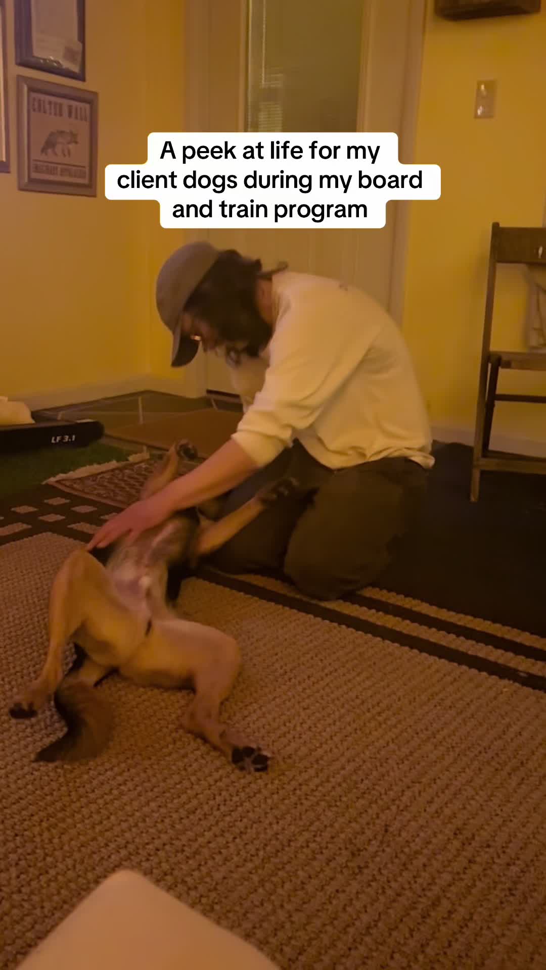 @OUTBOUNDDOGS