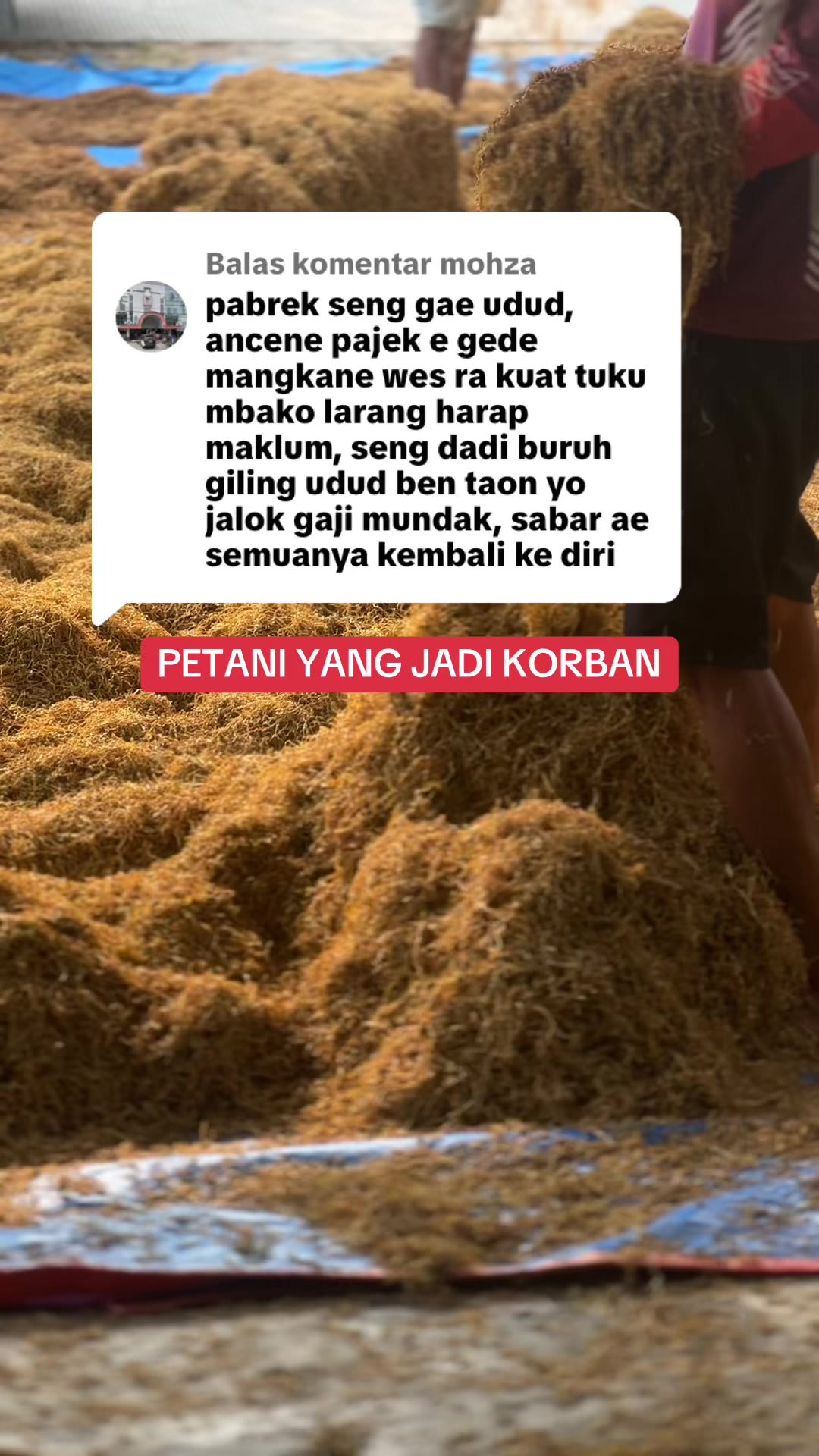 @PemainDalam