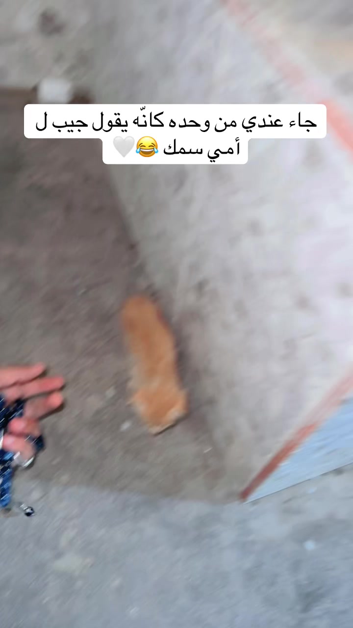 @مـاجـد✨