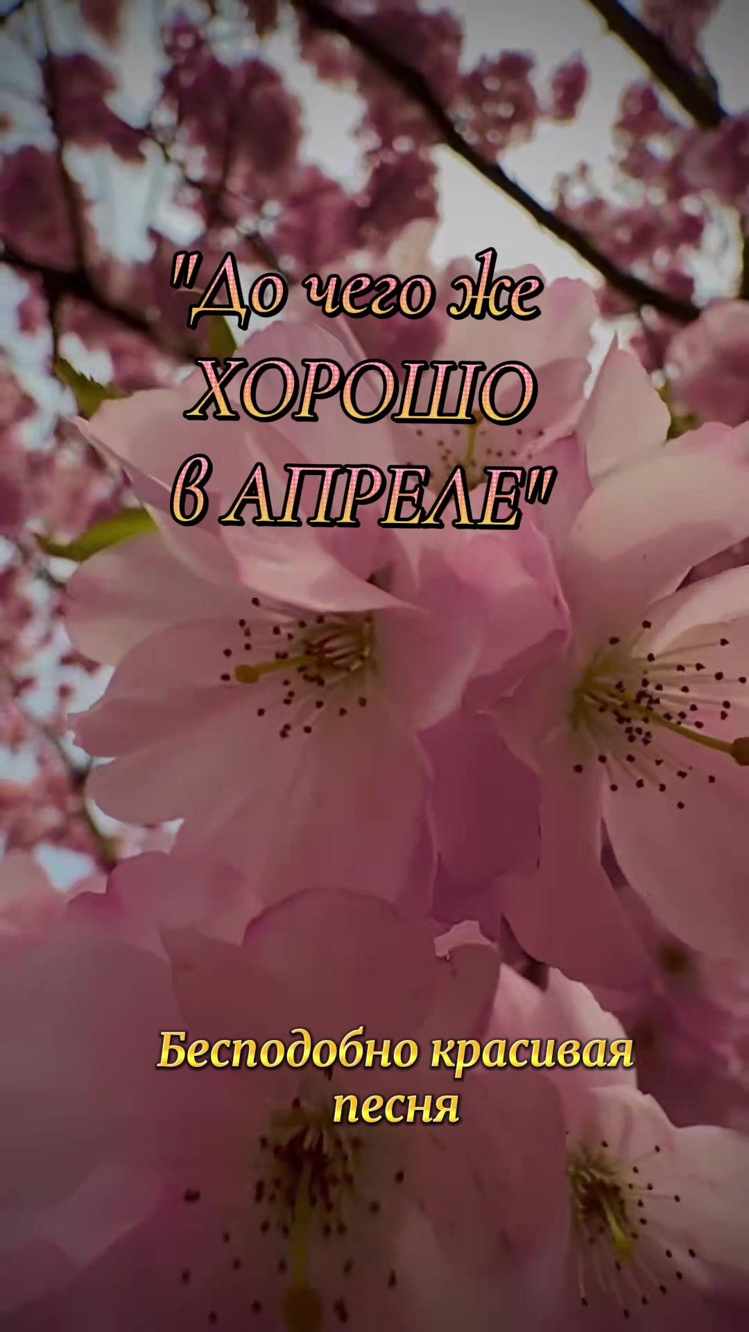@✨Елена✨