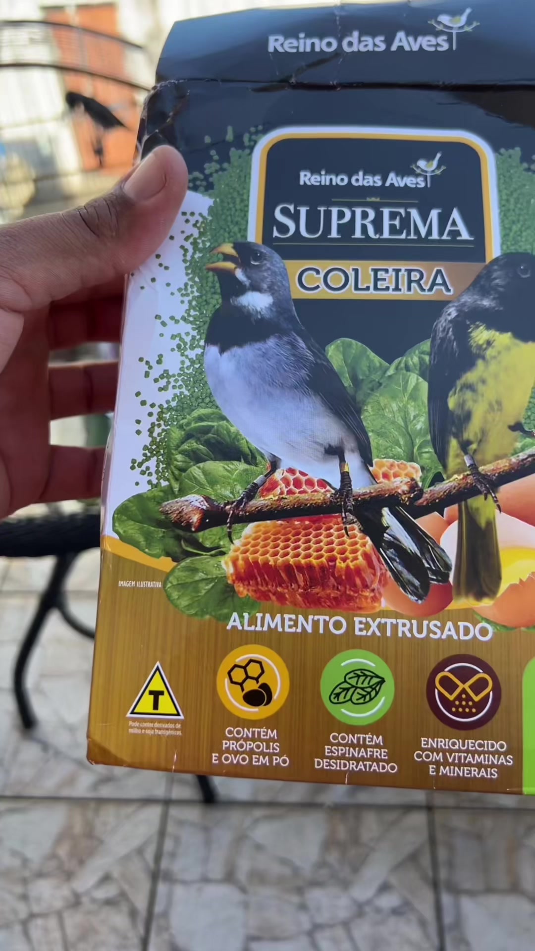@bod&atilde;o