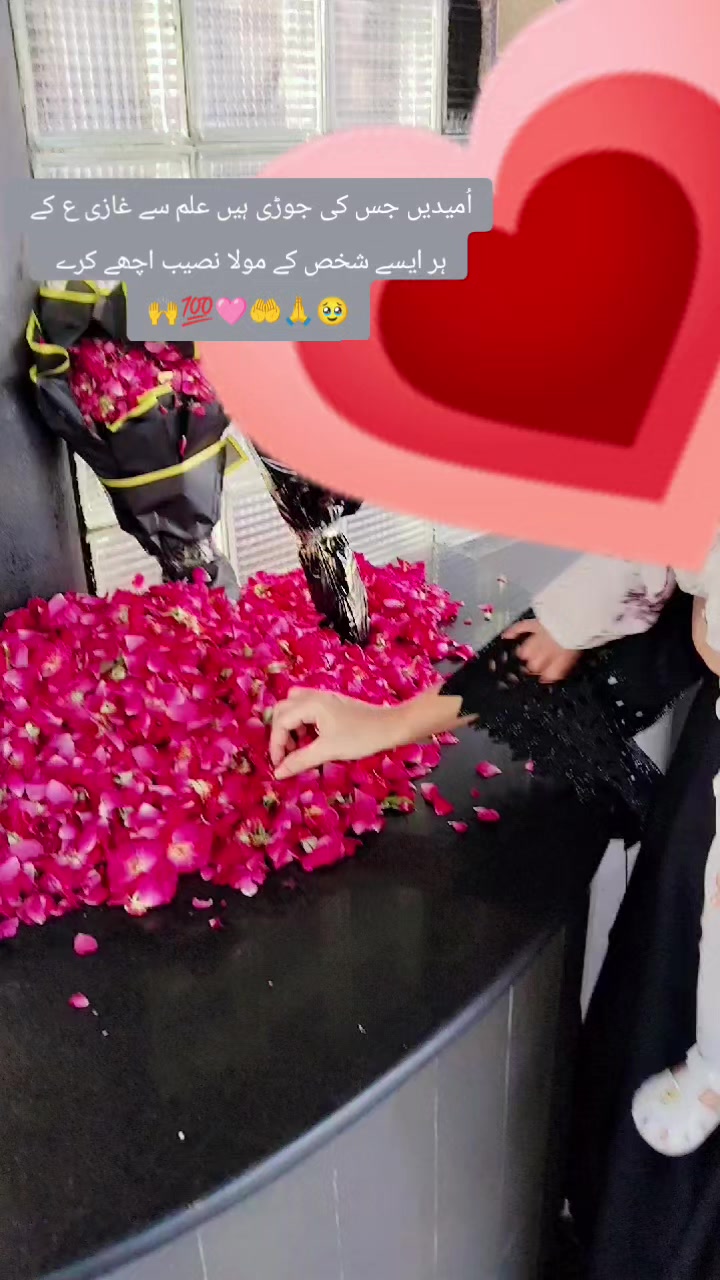 @میرے مُشکِل کُشا مولا علی ع 💯
